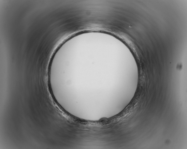 X0000098051191200804181315