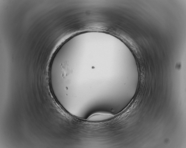 X0000098051192200804181315