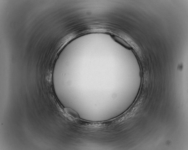 X0000098051193200804181315