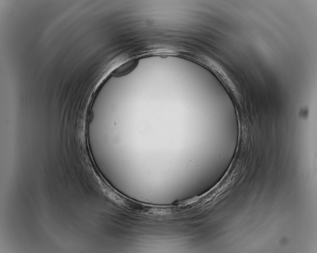 X0000098051194200804181315