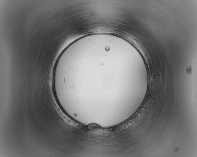 X0000098051195200804181315