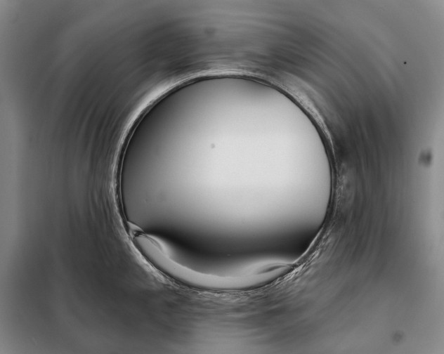 X0000098051197200804181315