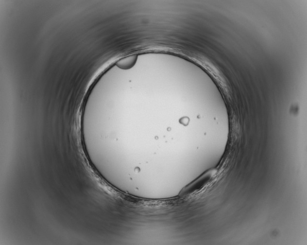 X0000098051198200804181315