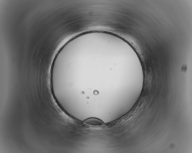 X0000098051199200804181315