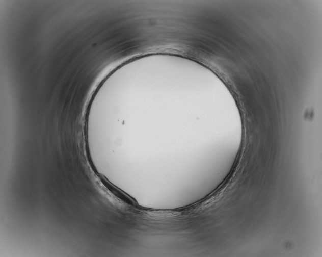 X0000098051200200804181315