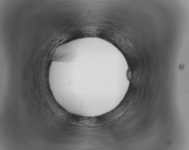 X0000098051201200804181314