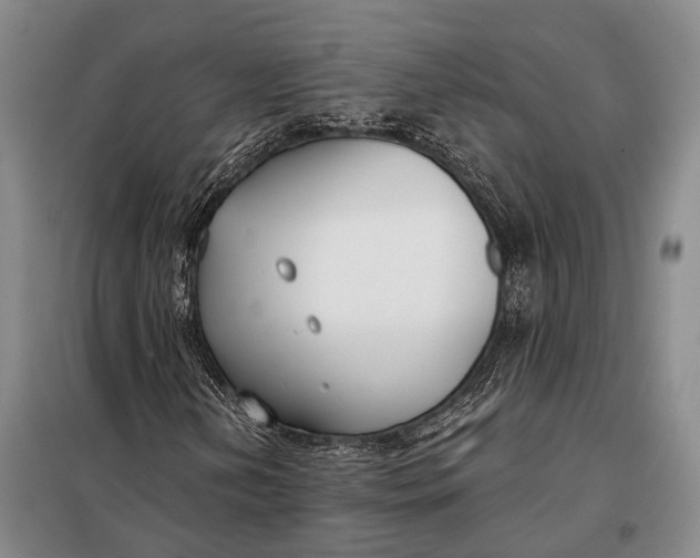 X0000098051202200804181314