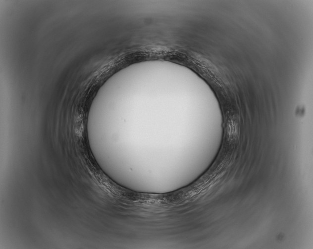 X0000098051204200804181314