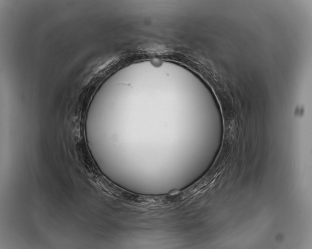 X0000098051205200804181314