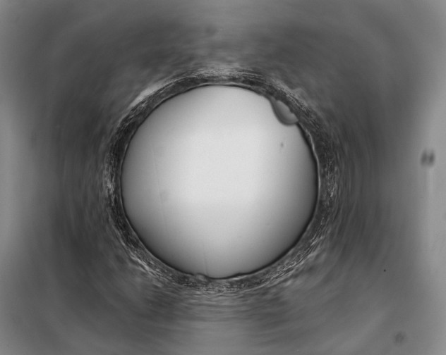 X0000098051206200804181314