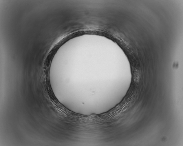 X0000098051208200804181314