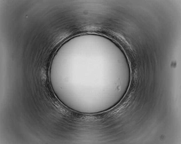 X0000098051209200804181314