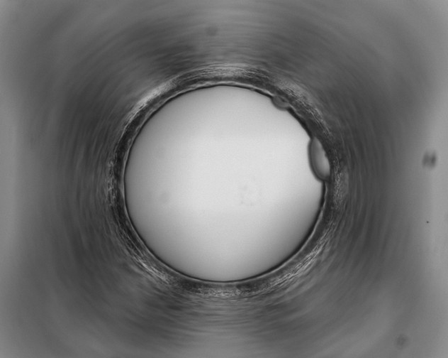 X0000098051210200804181314