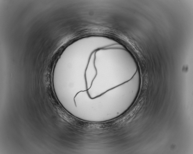 X0000098051211200804181314