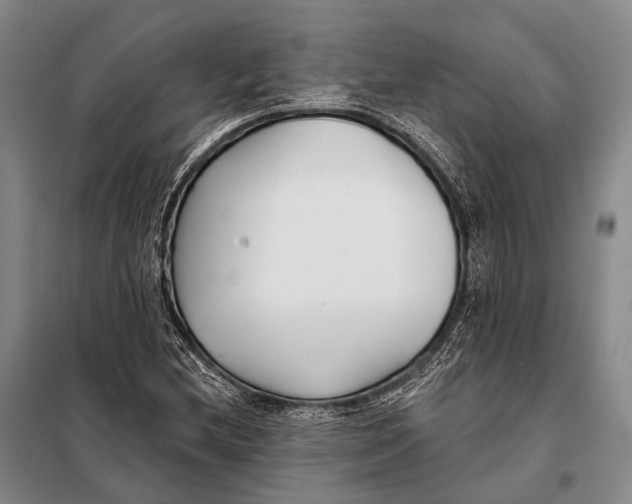 X0000098051212200804181314