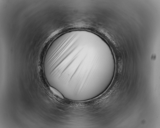 X0000098051213200804181315