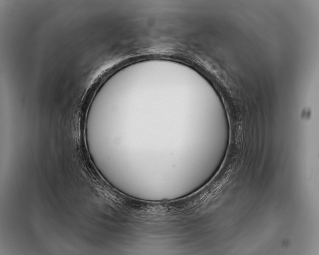 X0000098051214200804181315