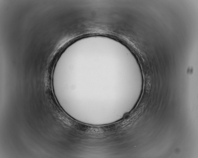 X0000098051215200804181315