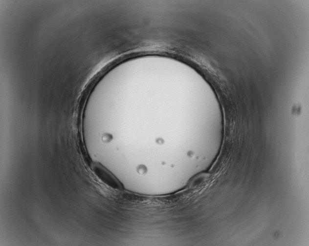 X0000098051216200804181315