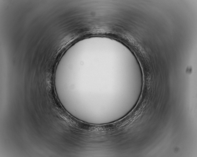 X0000098051217200804181315