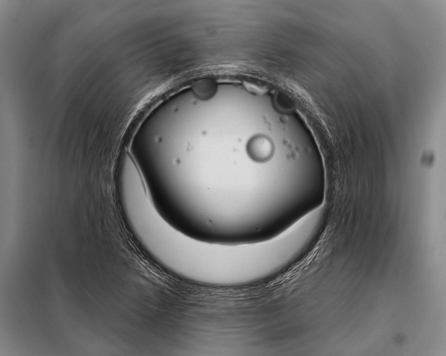 X0000098051218200804181315