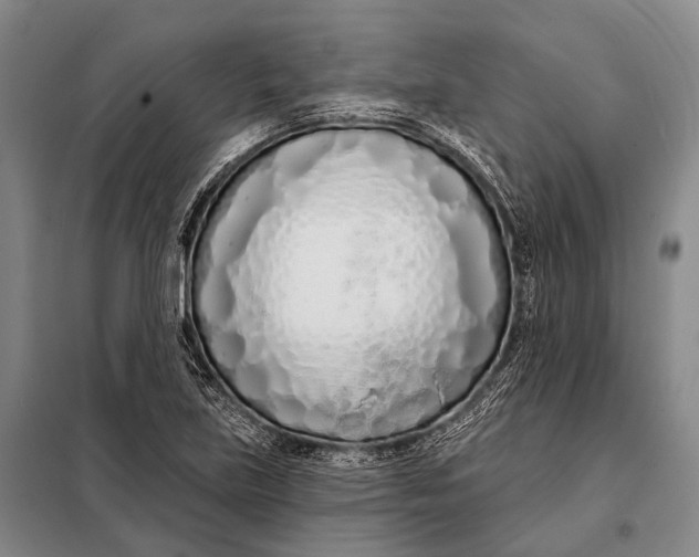 X0000098051219200804181315