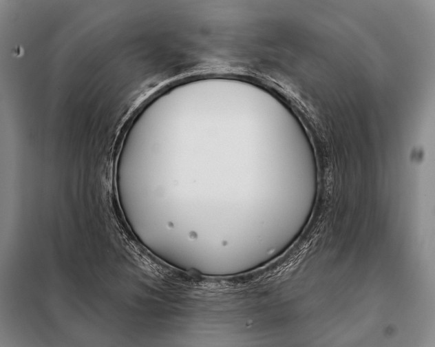 X0000098051220200804181315