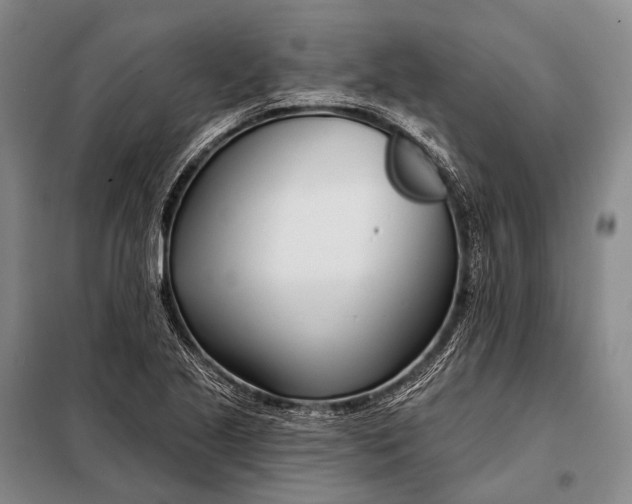 X0000098051221200804181315