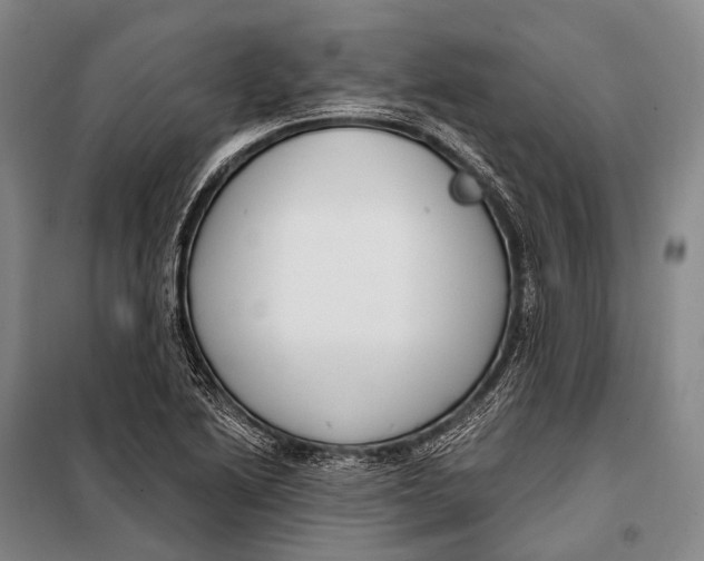 X0000098051222200804181315