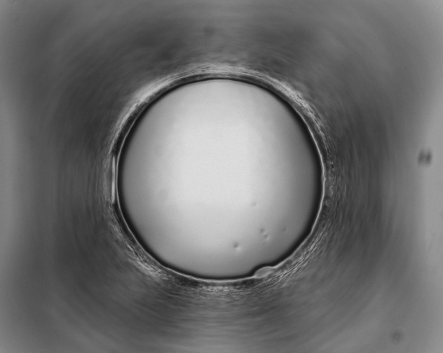 X0000098051223200804181315