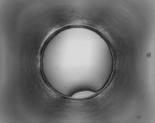 X0000098051224200804181315