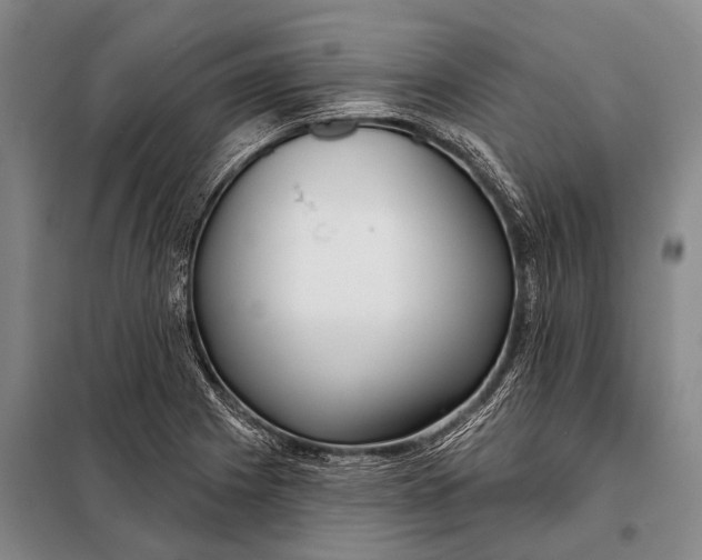 X0000098051225200804181315