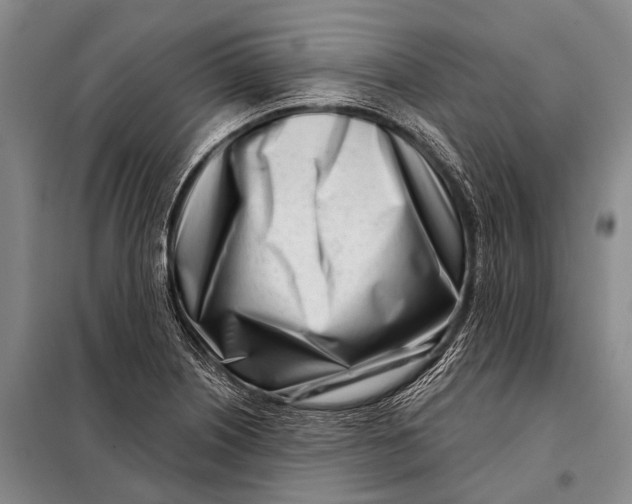 X0000098051226200804181315