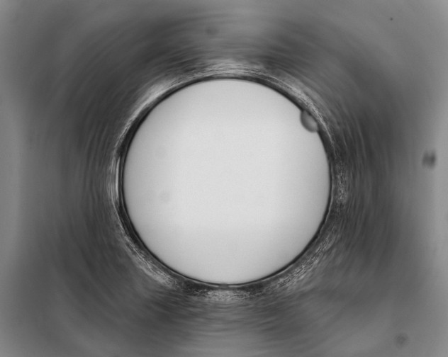 X0000098051227200804181315