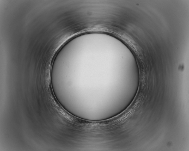 X0000098051228200804181315