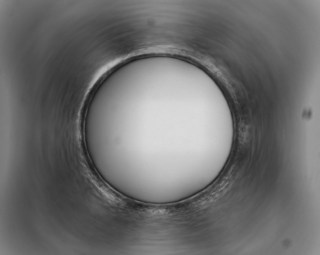 X0000098051230200804181315