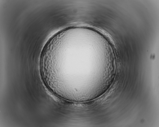 X0000098051231200804181315