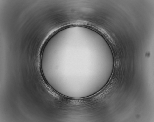 X0000098051232200804181315