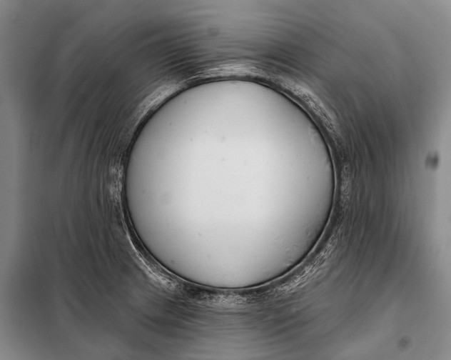 X0000098051233200804181315