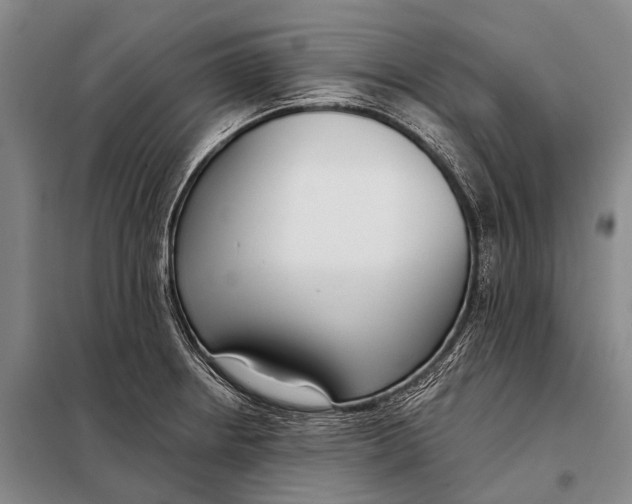 X0000098051234200804181315