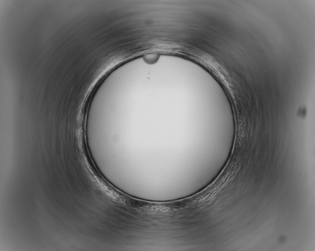 X0000098051235200804181315