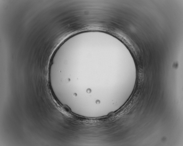 X0000098051236200804181315