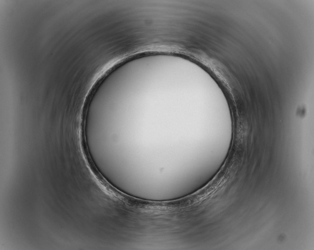 X0000098051237200804181315