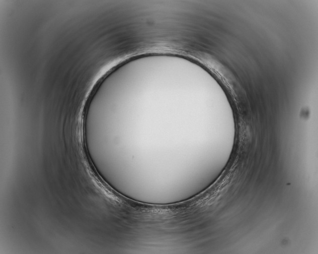 X0000098051238200804181315