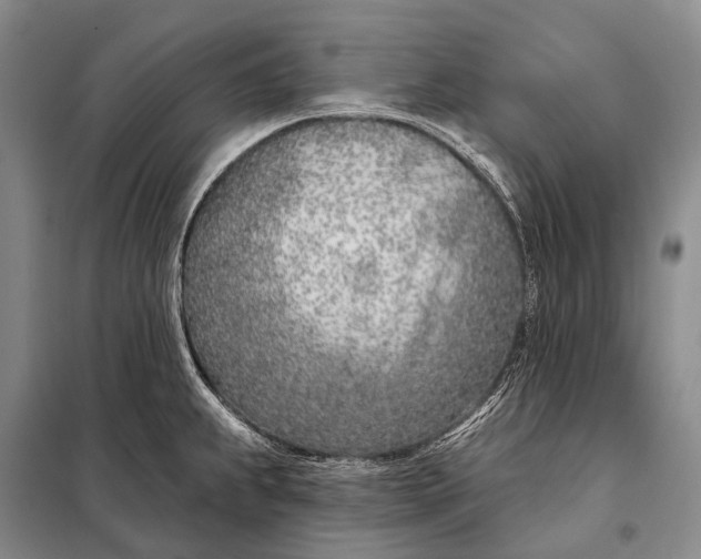 X0000098051239200804181315