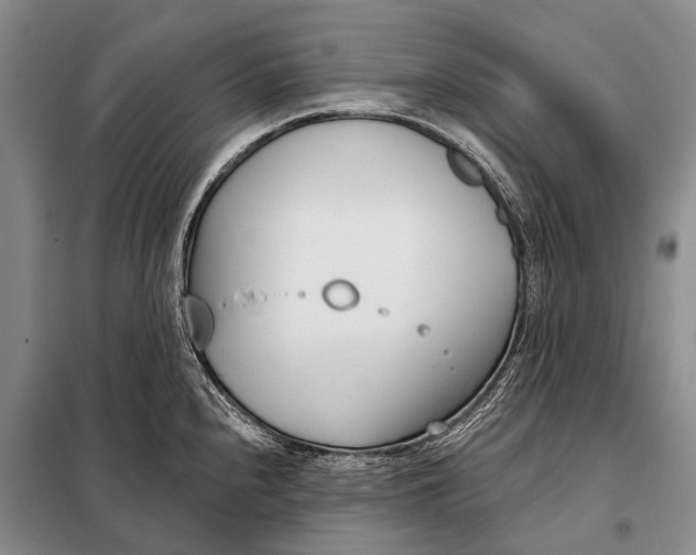 X0000098051240200804181315