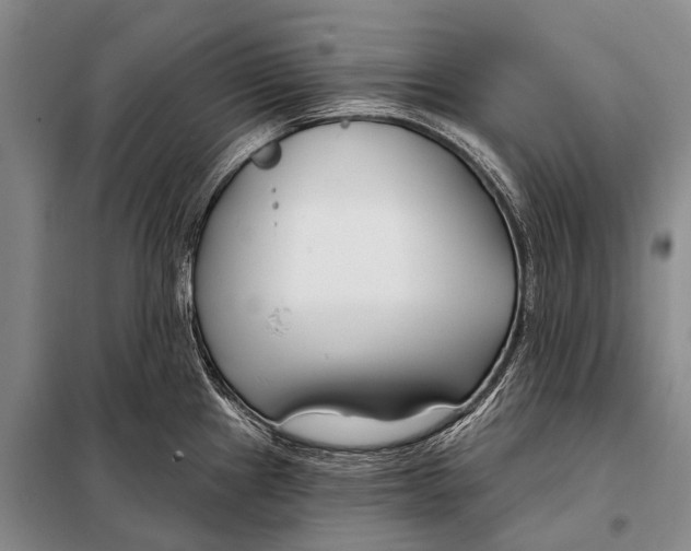 X0000098051241200804181315