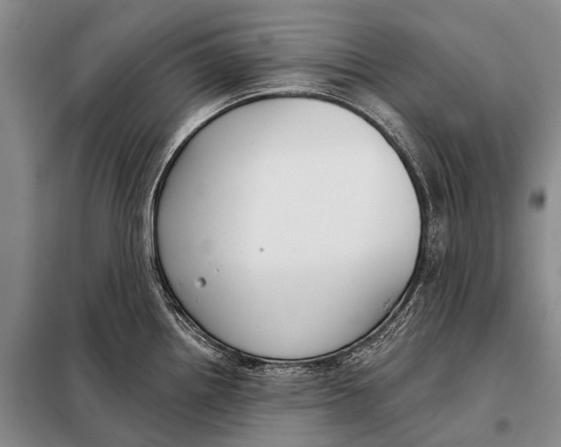 X0000098051242200804181315