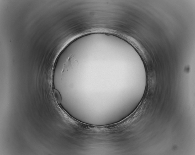 X0000098051244200804181315