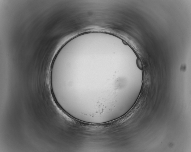 X0000098051247200804181315